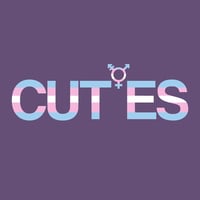 LGBTQ Nonprofits Near Me - Campus Union for Trans Equality and Support at UIUC