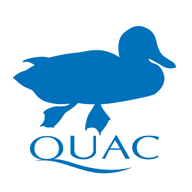 Queer Utah Aquatic Club, Inc. - LGBTQ organization in Salt Lake City UT