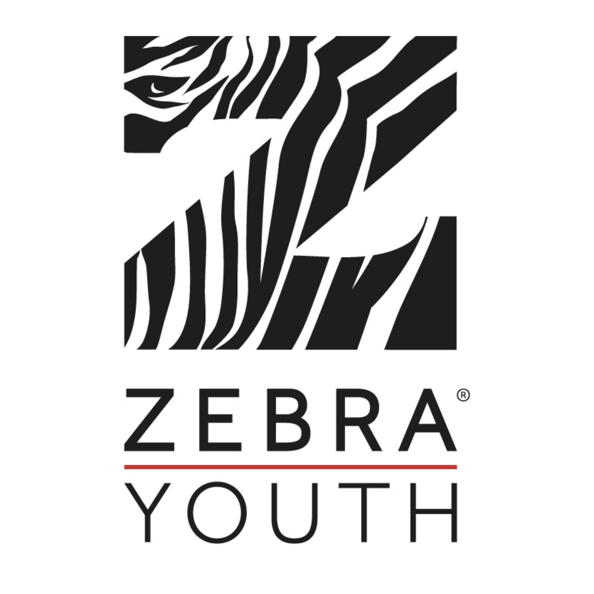 LGBTQ Nonprofits Near Me - Zebra Youth